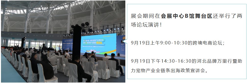 派得宠物