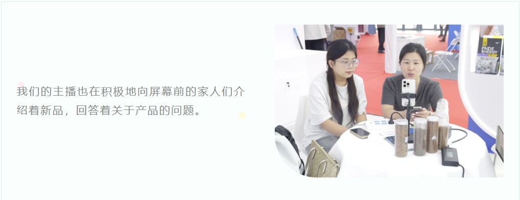 派得宠物
