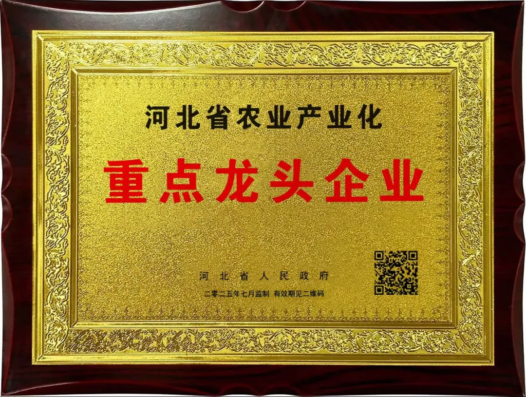 派得宠物